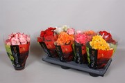 Цветы к 8 марта в Алматы